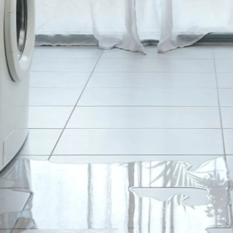 Appliance Leak Cleanup in Gretna, FL