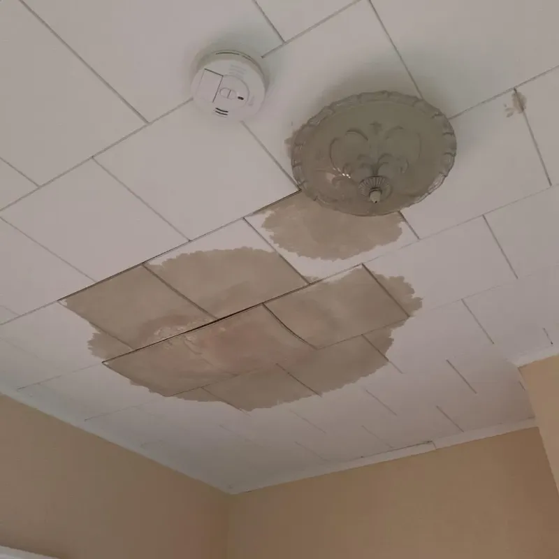 Ceiling Water Damage Repair in Gretna, FL