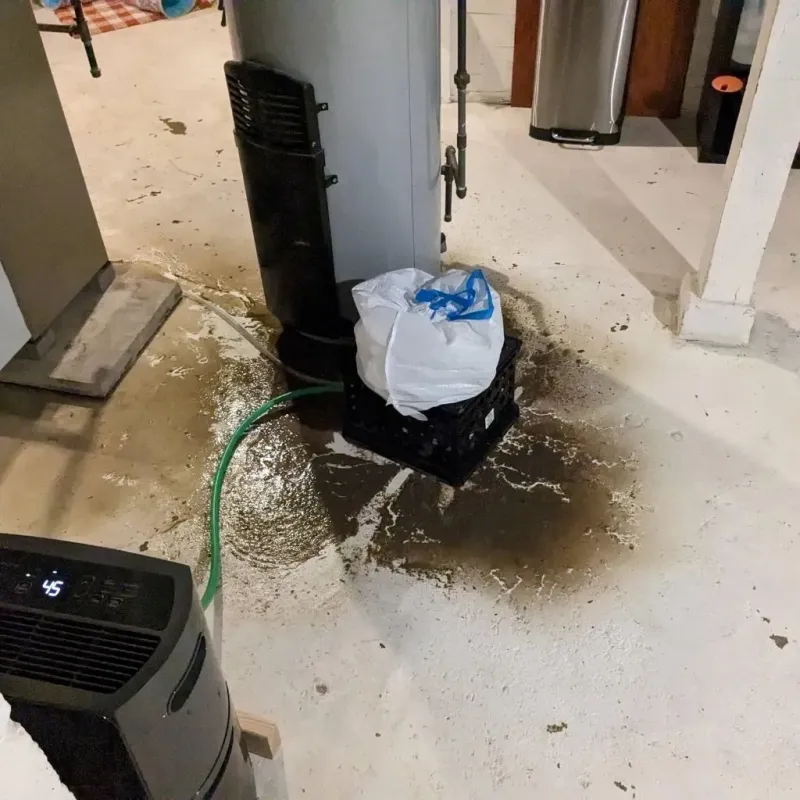 Sewage Backup Cleanup Service in Gretna, FL